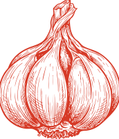 garlic